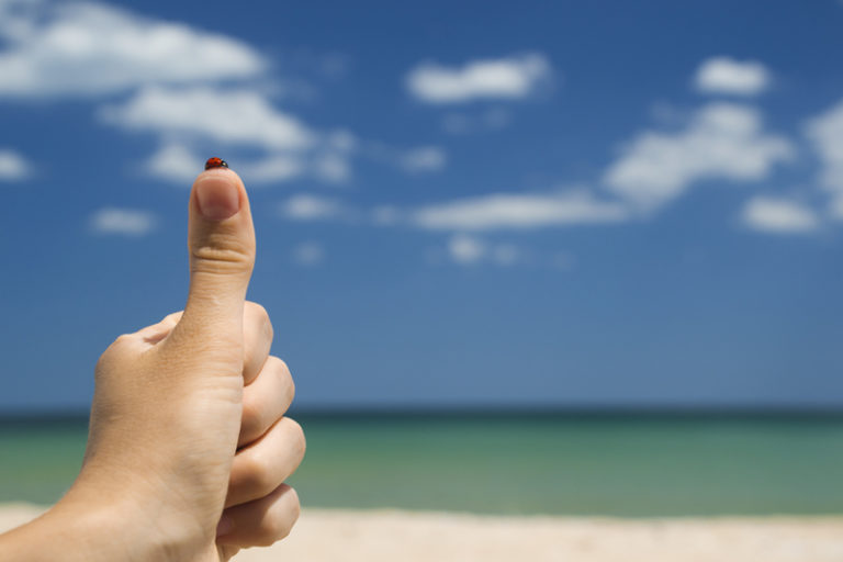 Norsk reiseliv: Fasit for 2013